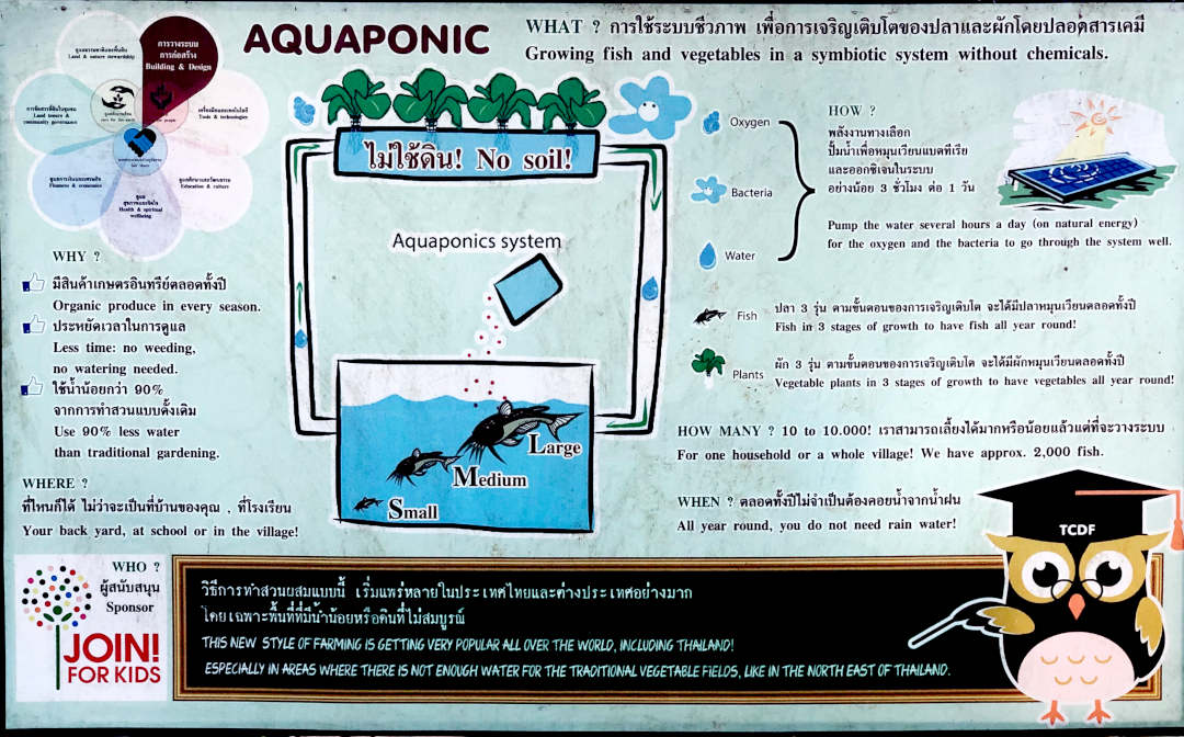Aquaponic Diagram