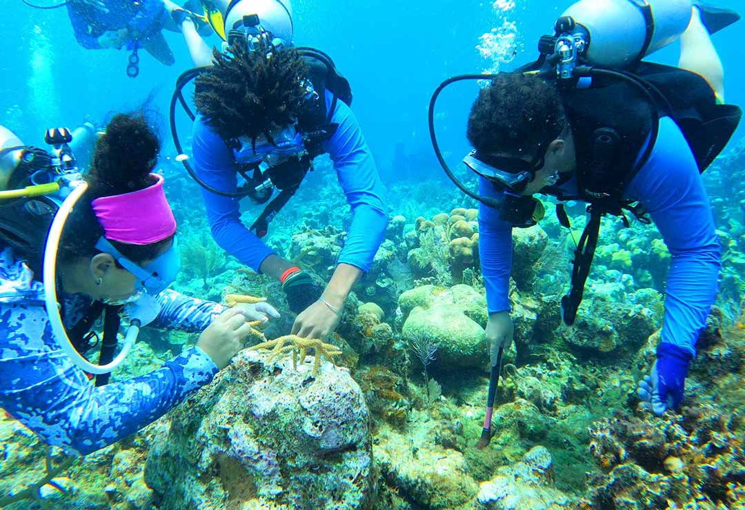 Diving With A Purpose (DWP)