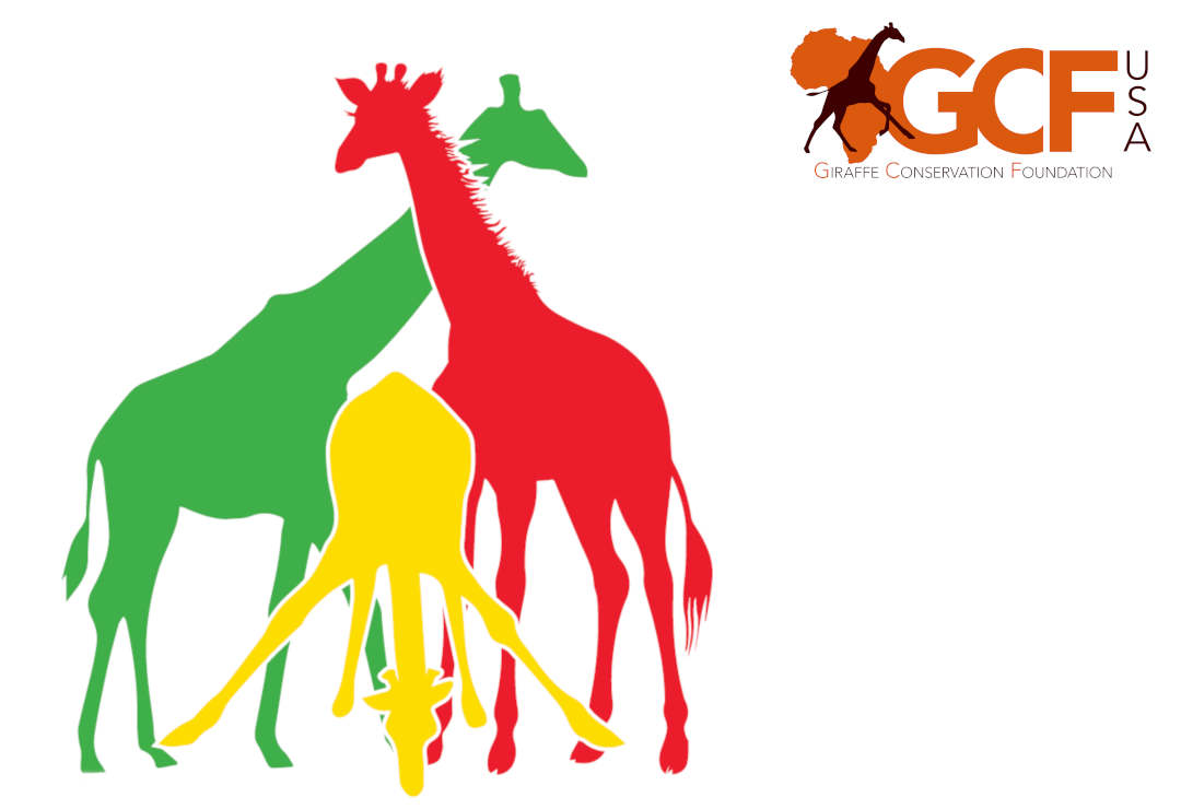 Giraffe Conservation Foundation – USA